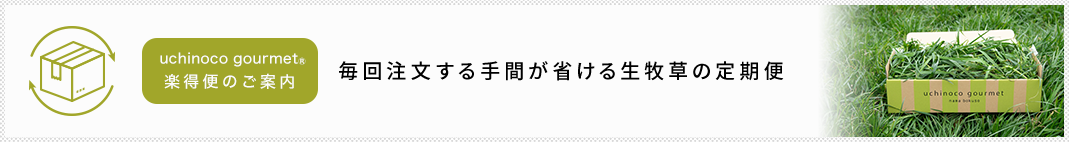 定期便のご案内毎回注文する手間が省ける生牧草の定期便