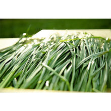 画像をギャラリービューアに読み込む, 【直販】生牧草緑葉（ゴールド）3kg+旬牧草イタリアンライグラス40gx2袋