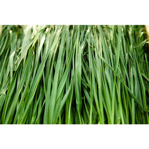 【配送】緑葉（ゴールド）6kg