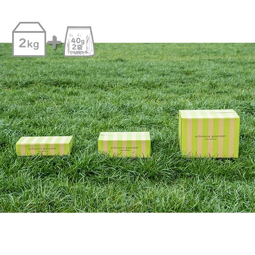 【直販】生牧草緑葉（ワイルド）2kg+旬牧草イタリアンライグラス40gx2袋