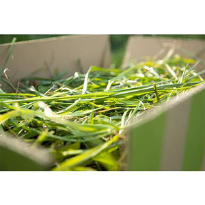 【配送】緑葉（ワイルド）1kg