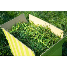 画像をギャラリービューアに読み込む, 【直販】生牧草緑葉（ワイルド）3kg+旬牧草イタリアンライグラス40gx2袋